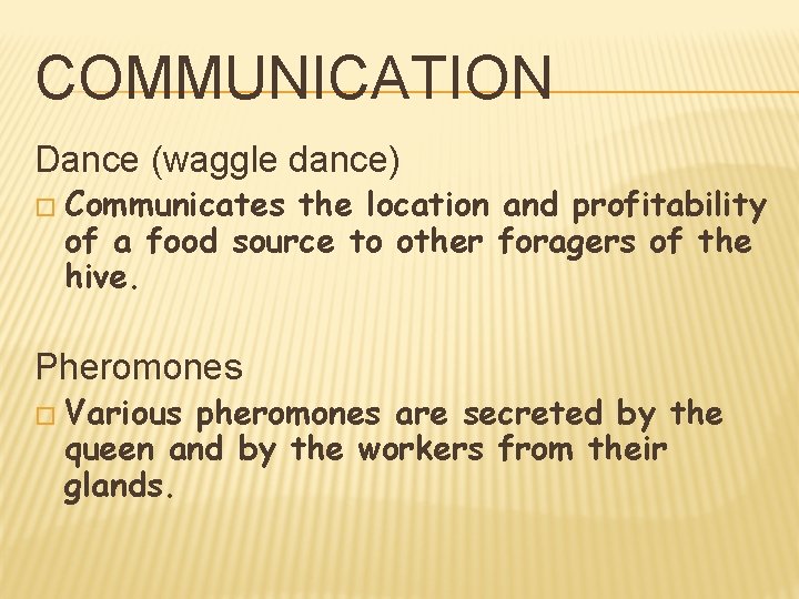 COMMUNICATION Dance (waggle dance) � Communicates the location and profitability of a food source