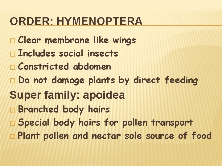 ORDER: HYMENOPTERA � Clear membrane like wings � Includes social insects � Constricted abdomen