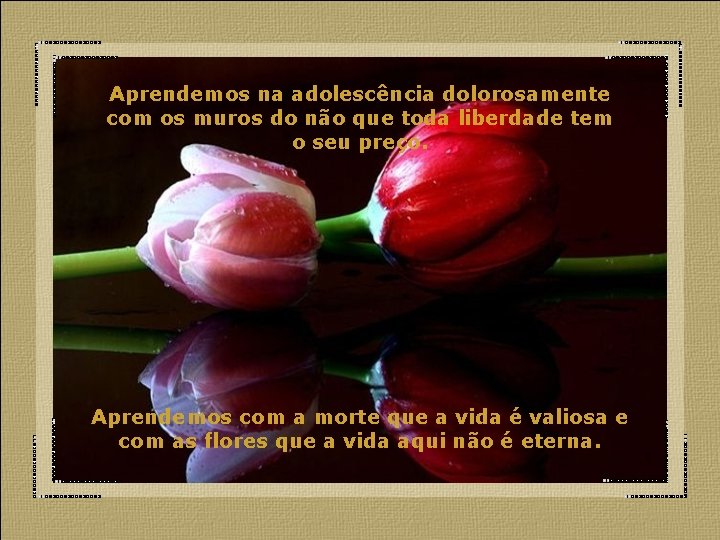 Aprendemos na adolescência dolorosamente com os muros do não que toda liberdade tem o
