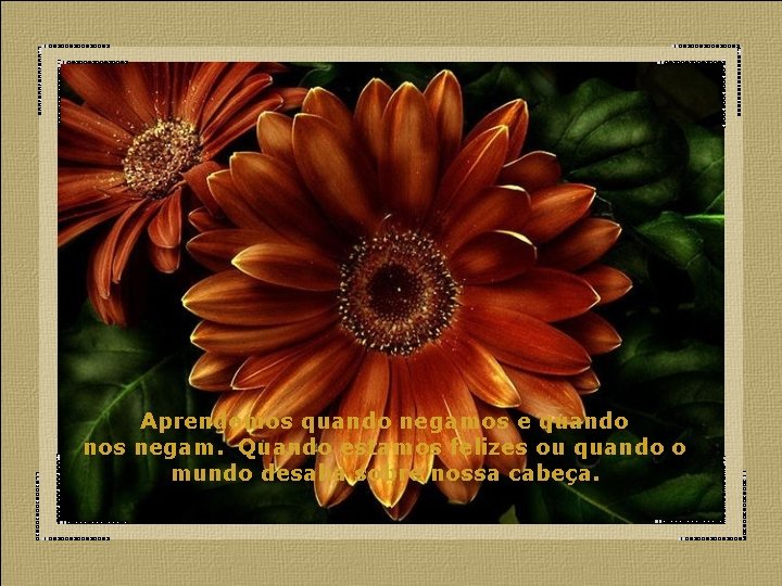 Aprendemos quando negamos e quando nos negam. Quando estamos felizes ou quando o mundo