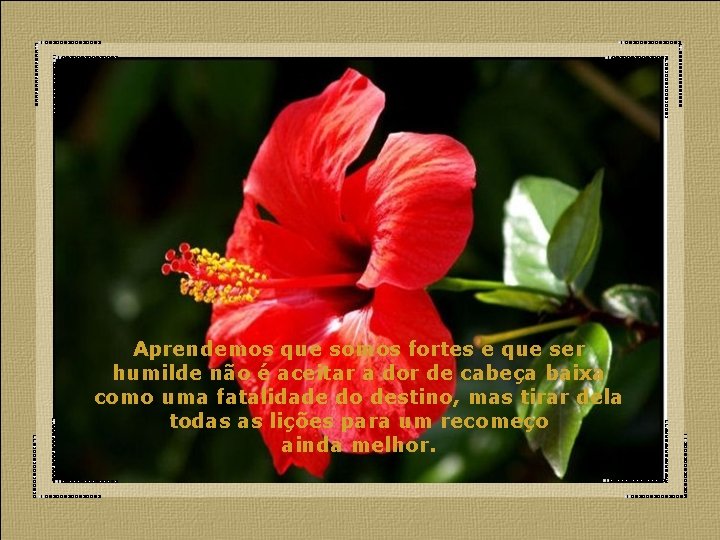 Aprendemos que somos fortes e que ser humilde não é aceitar a dor de