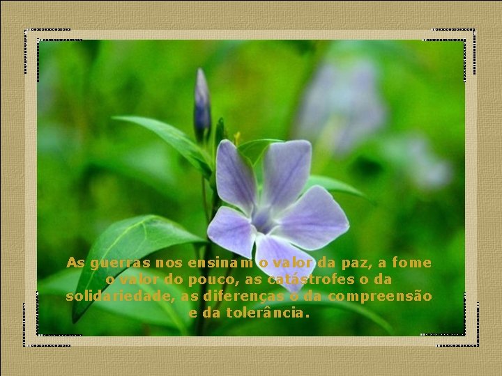 As guerras nos ensinam o valor da paz, a fome o valor do pouco,