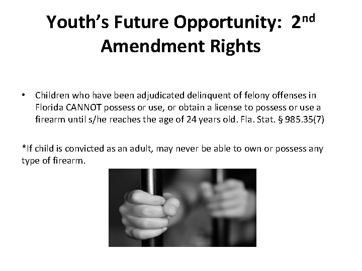 Youth’s Future Opportunity: 2 nd Amendment Rights • Children who have been adjudicated delinquent