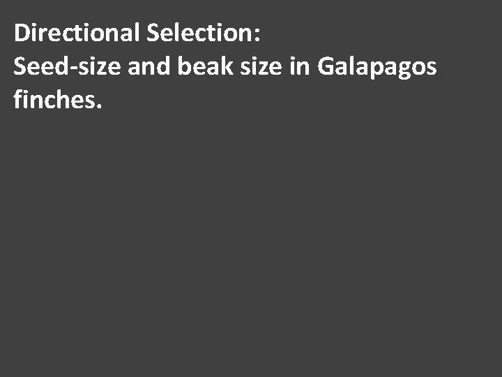 Directional Selection: Seed-size and beak size in Galapagos finches. 