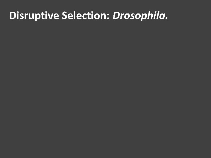 Disruptive Selection: Drosophila. 