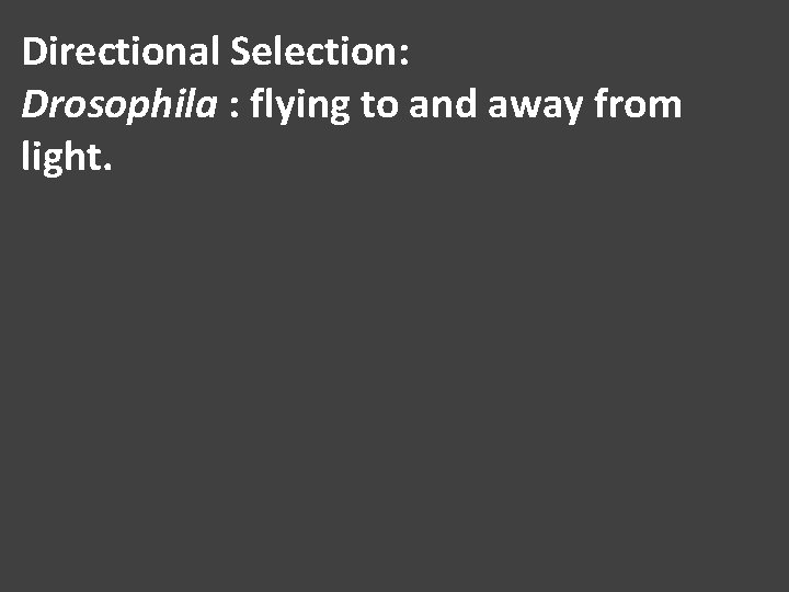 Directional Selection: Drosophila : flying to and away from light. 
