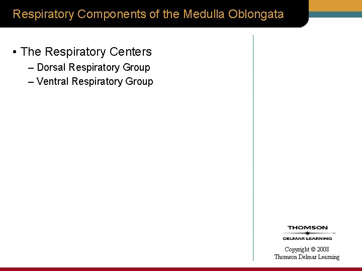 Respiratory Components of the Medulla Oblongata • The Respiratory Centers – Dorsal Respiratory Group