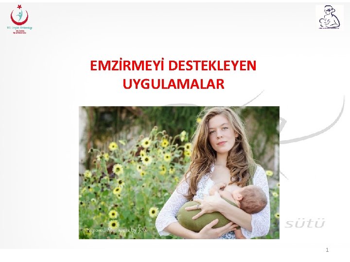 EMZİRMEYİ DESTEKLEYEN UYGULAMALAR 1 