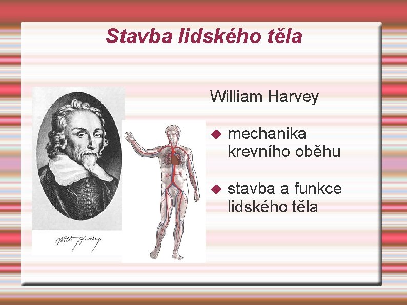 Stavba lidského těla William Harvey mechanika krevního oběhu stavba a funkce lidského těla 