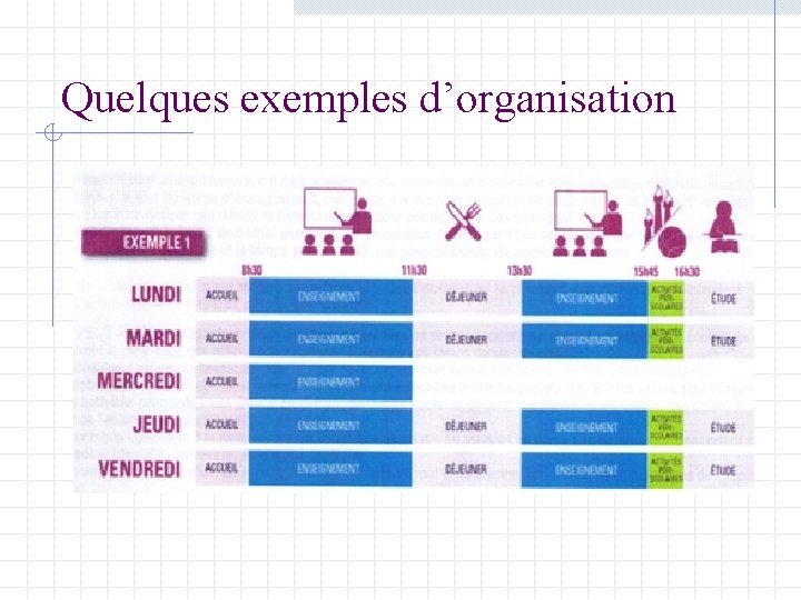 Quelques exemples d’organisation 