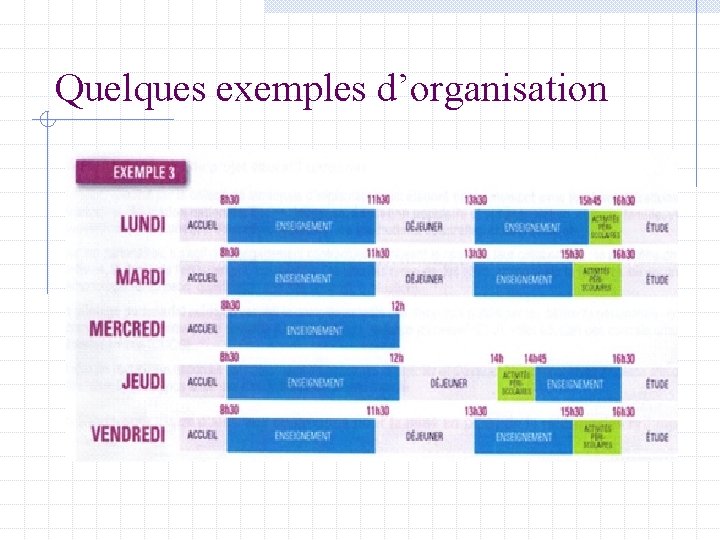 Quelques exemples d’organisation 