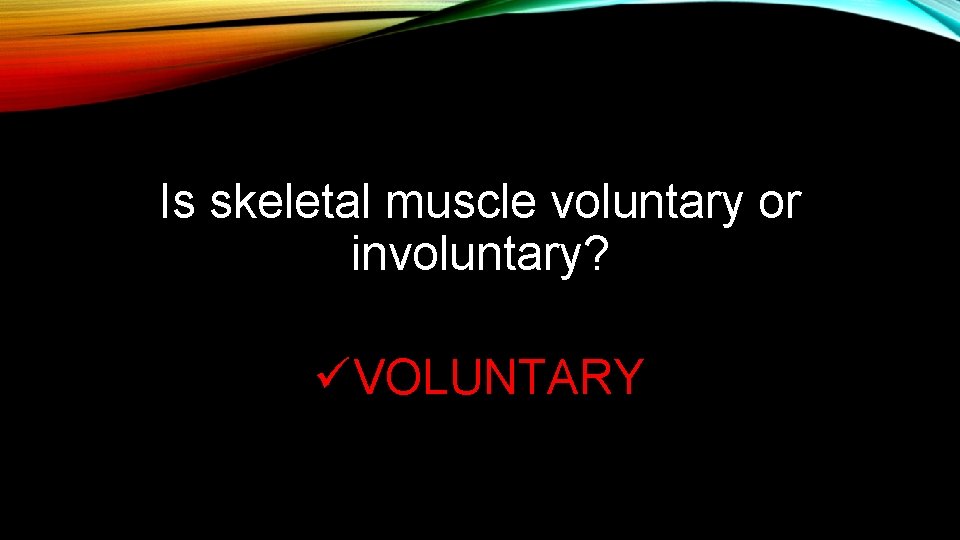 Is skeletal muscle voluntary or involuntary? üVOLUNTARY Is skeletal muscle voluntary or involuntary? üVOLUNTARY