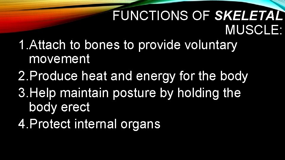 FUNCTIONS OF SKELETAL MUSCLE: 1. Attach to bones to provide voluntary movement 2. Produce FUNCTIONS OF SKELETAL MUSCLE: 1. Attach to bones to provide voluntary movement 2. Produce