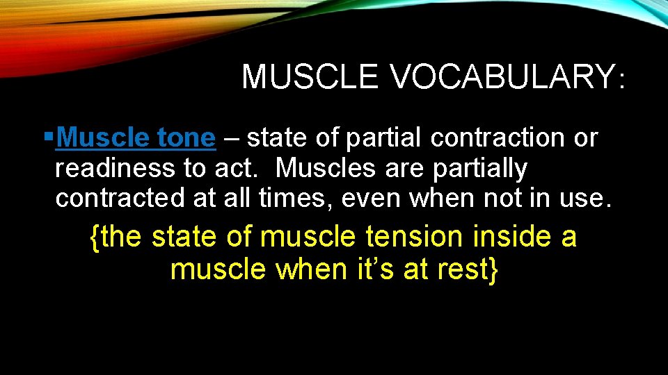 MUSCLE VOCABULARY: §Muscle tone – state of partial contraction or readiness to act. Muscles MUSCLE VOCABULARY: §Muscle tone – state of partial contraction or readiness to act. Muscles