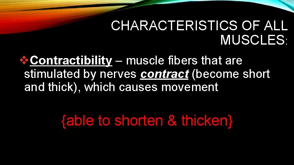 CHARACTERISTICS OF ALL MUSCLES: v. Contractibility – muscle fibers that are stimulated by nerves CHARACTERISTICS OF ALL MUSCLES: v. Contractibility – muscle fibers that are stimulated by nerves