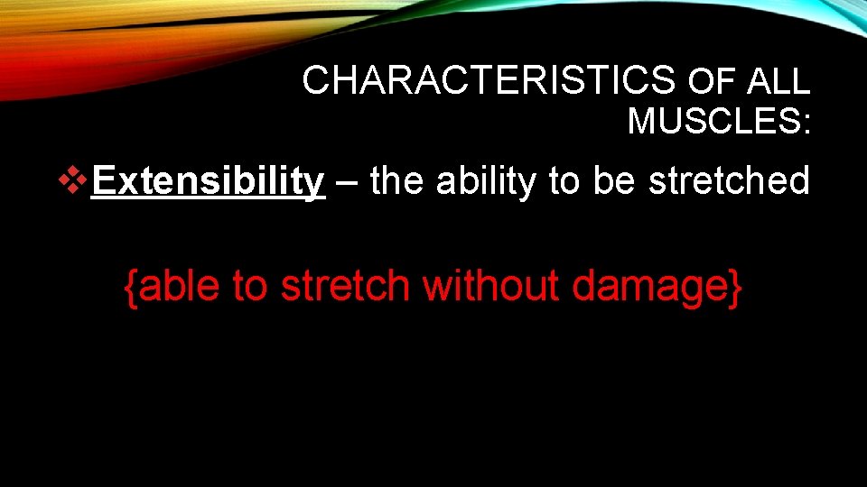 CHARACTERISTICS OF ALL MUSCLES: v. Extensibility – the ability to be stretched {able to CHARACTERISTICS OF ALL MUSCLES: v. Extensibility – the ability to be stretched {able to