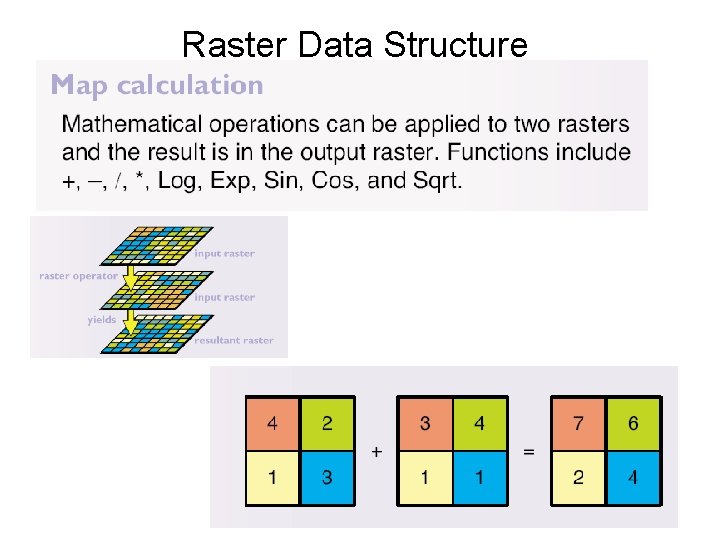 Raster Data Structure 