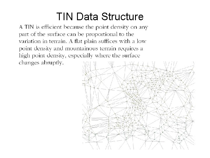 TIN Data Structure 