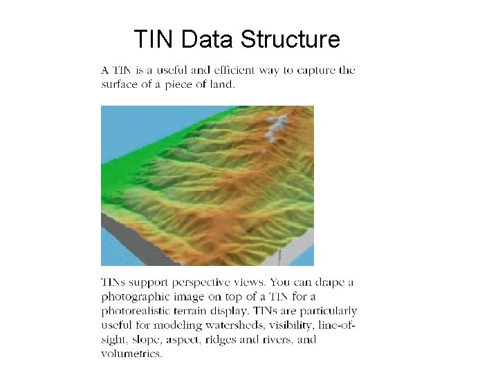 TIN Data Structure 