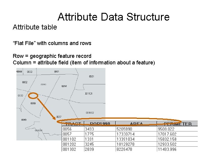 Attribute Data Structure Attribute table “Flat File” with columns and rows Row = geographic