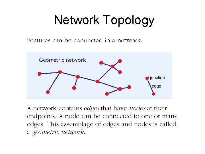 Network Topology 