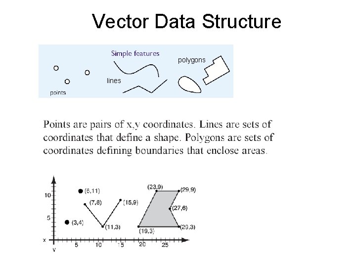 Vector Data Structure polygons lines 
