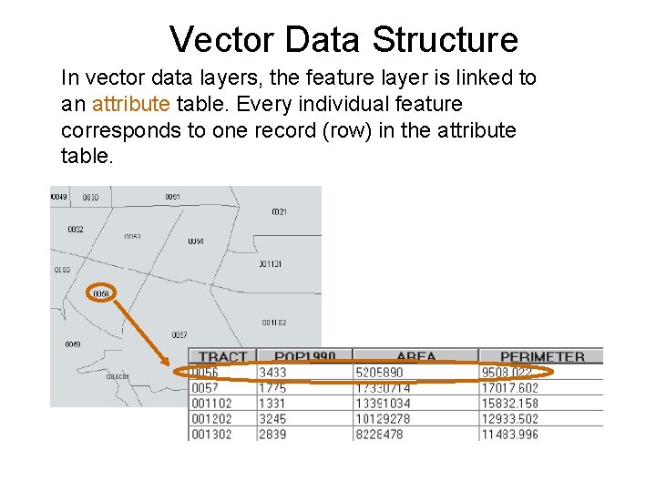 Vector Data Structure In vector data layers, the feature layer is linked to an