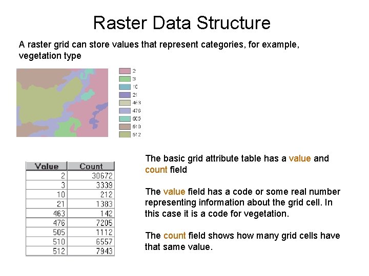 Raster Data Structure A raster grid can store values that represent categories, for example,