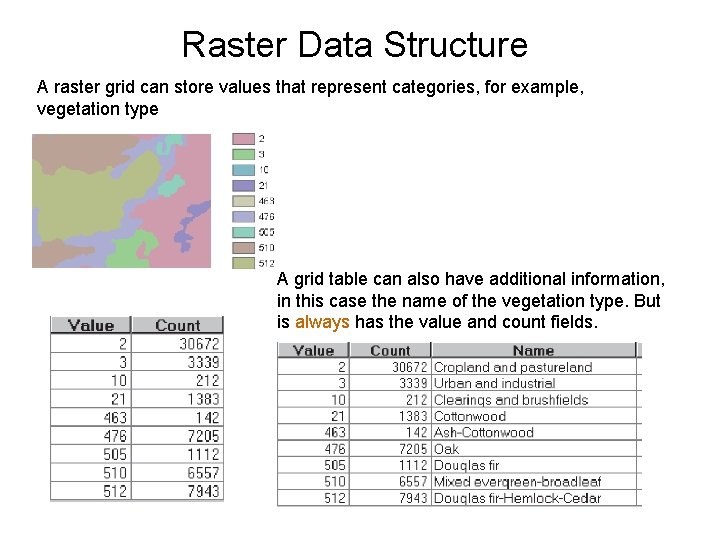 Raster Data Structure A raster grid can store values that represent categories, for example,