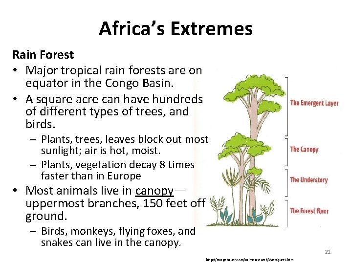 Africa’s Extremes Rain Forest • Major tropical rain forests are on equator in the