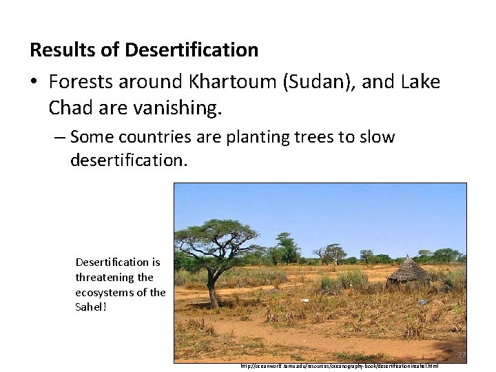 Results of Desertification • Forests around Khartoum (Sudan), and Lake Chad are vanishing. –