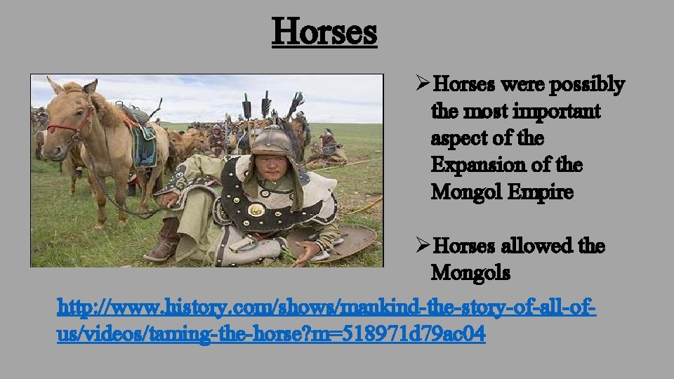 Horses ØHorses were possibly the most important aspect of the Expansion of the Mongol