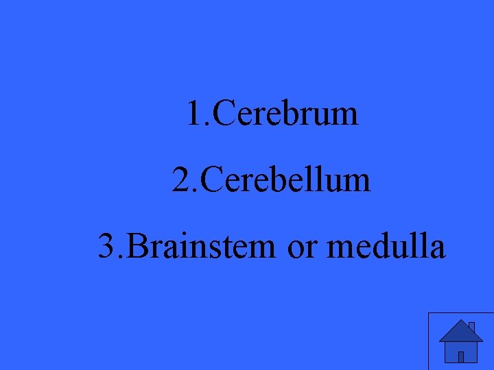 1. Cerebrum 2. Cerebellum 3. Brainstem or medulla 