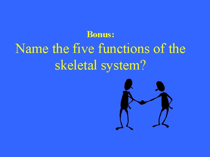 Bonus: Name the five functions of the skeletal system? 