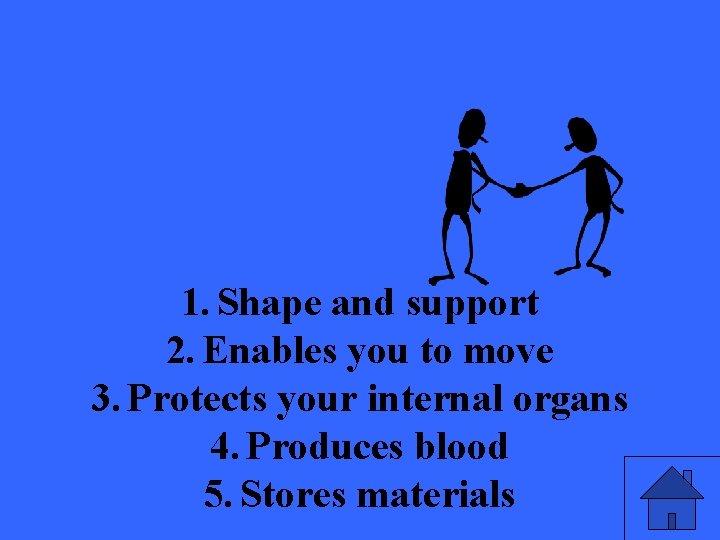1. Shape and support 2. Enables you to move 3. Protects your internal organs