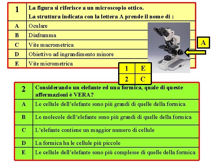 1 La figura si riferisce a un microscopio ottico. La struttura indicata con la