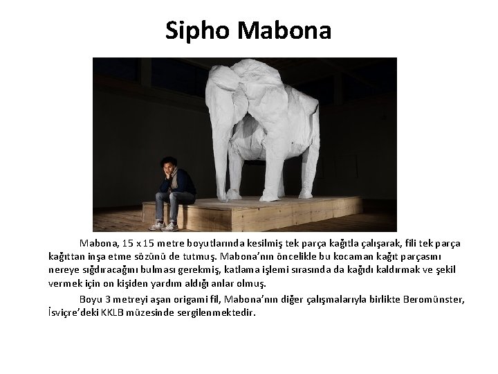 Sipho Mabona, 15 x 15 metre boyutlarında kesilmiş tek parça kağıtla çalışarak, fili tek