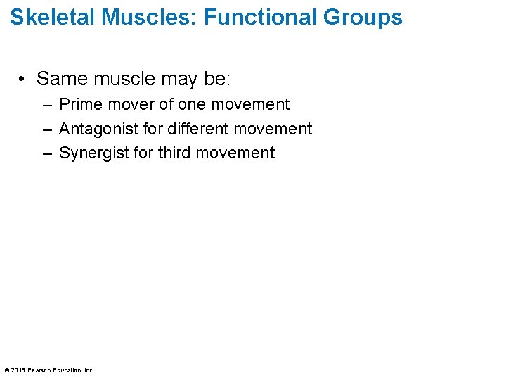 Skeletal Muscles: Functional Groups • Same muscle may be: – Prime mover of one