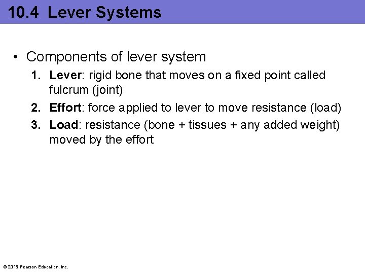 10. 4 Lever Systems • Components of lever system 1. Lever: rigid bone that
