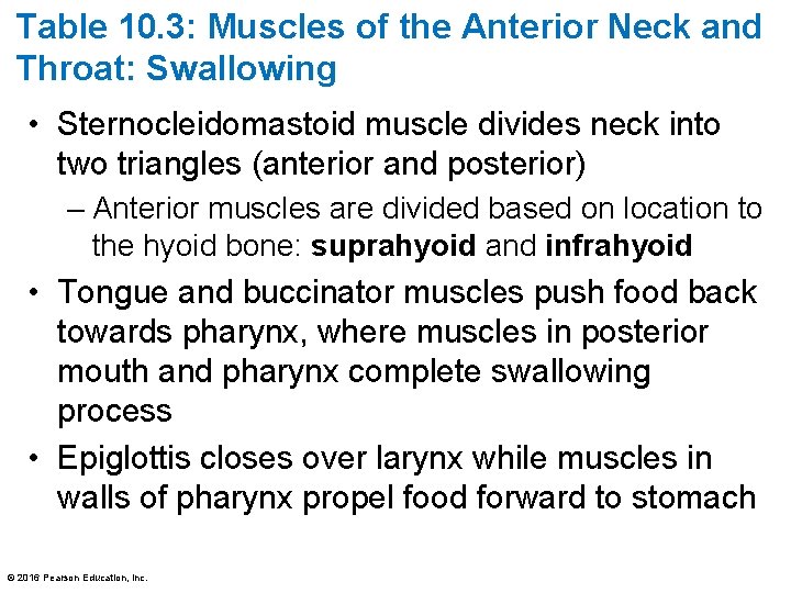 Table 10. 3: Muscles of the Anterior Neck and Throat: Swallowing • Sternocleidomastoid muscle