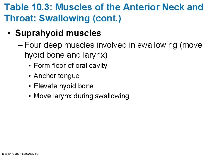 Table 10. 3: Muscles of the Anterior Neck and Throat: Swallowing (cont. ) •
