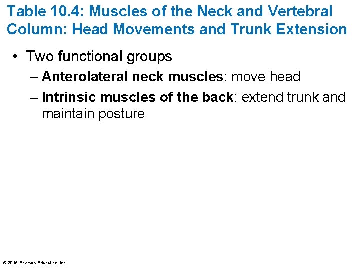 Table 10. 4: Muscles of the Neck and Vertebral Column: Head Movements and Trunk