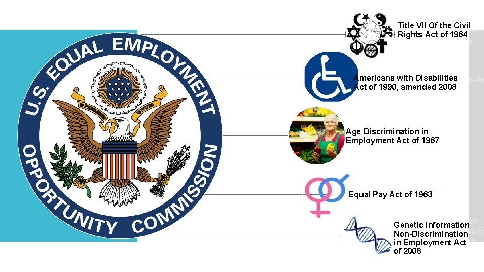 Title VII Of the Civil Rights Act of 1964 Americans with Disabilities Act of