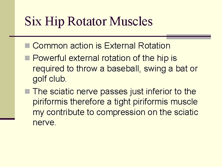 Six Hip Rotator Muscles n Common action is External Rotation n Powerful external rotation