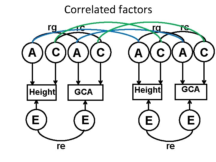 Correlated factors rg A C Height E re A rc rg rc C A
