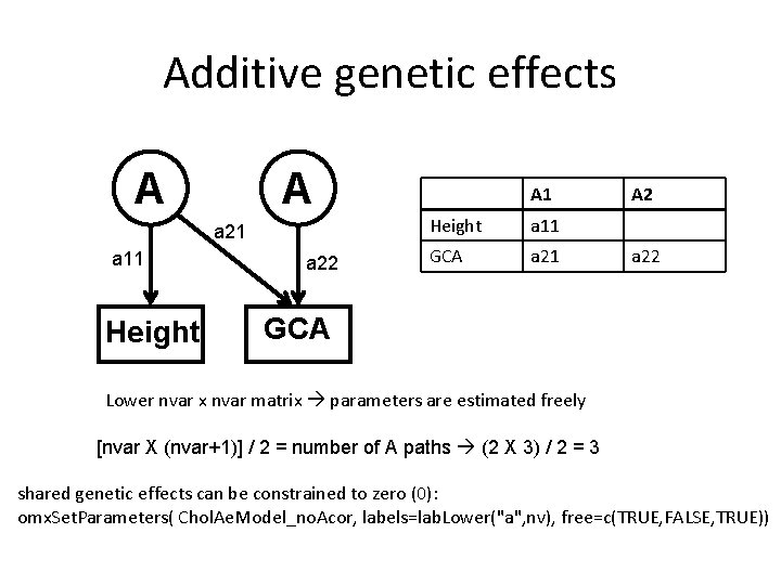 Additive genetic effects A A a 21 a 11 Height a 22 A 1