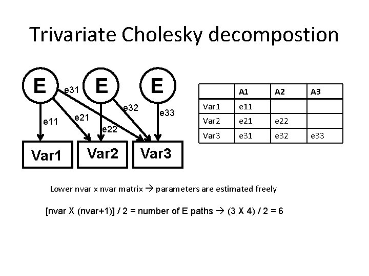 Trivariate Cholesky decompostion E e 11 Var 1 E E e 31 e 32