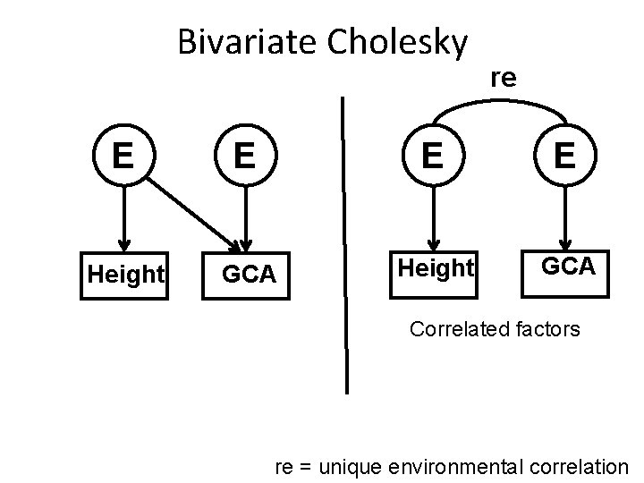 Bivariate Cholesky re E E Height GCA Correlated factors re = unique environmental correlation