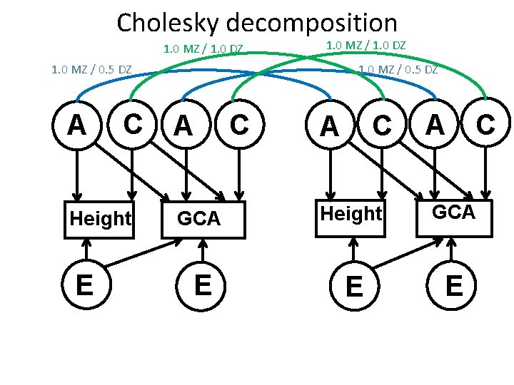 Cholesky decomposition 1. 0 MZ / 1. 0 DZ 1. 0 MZ / 0.