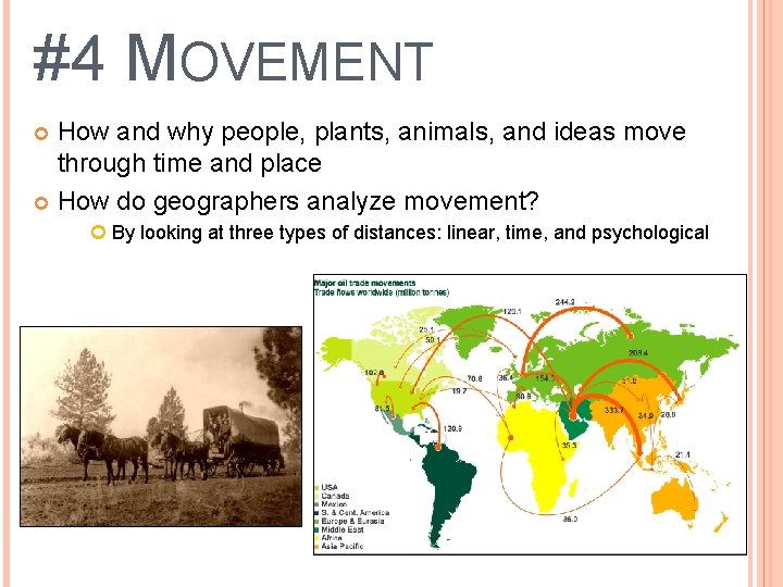 #4 MOVEMENT How and why people, plants, animals, and ideas move through time and